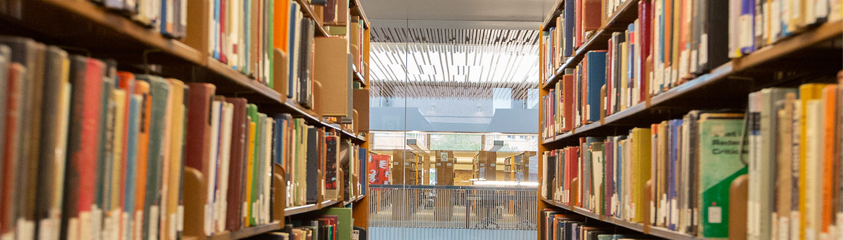 Books on library shelves