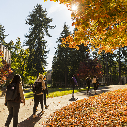 Autumn on UW campus