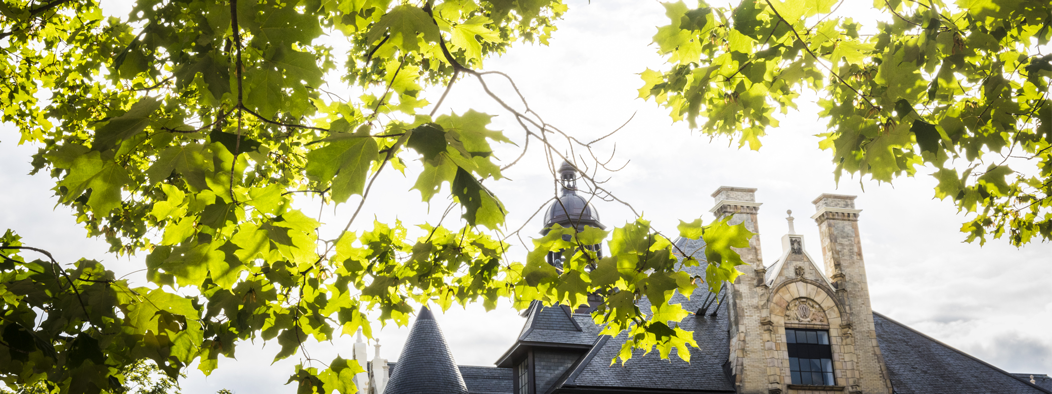 Roofline of Denny Hall with trees in foreground.