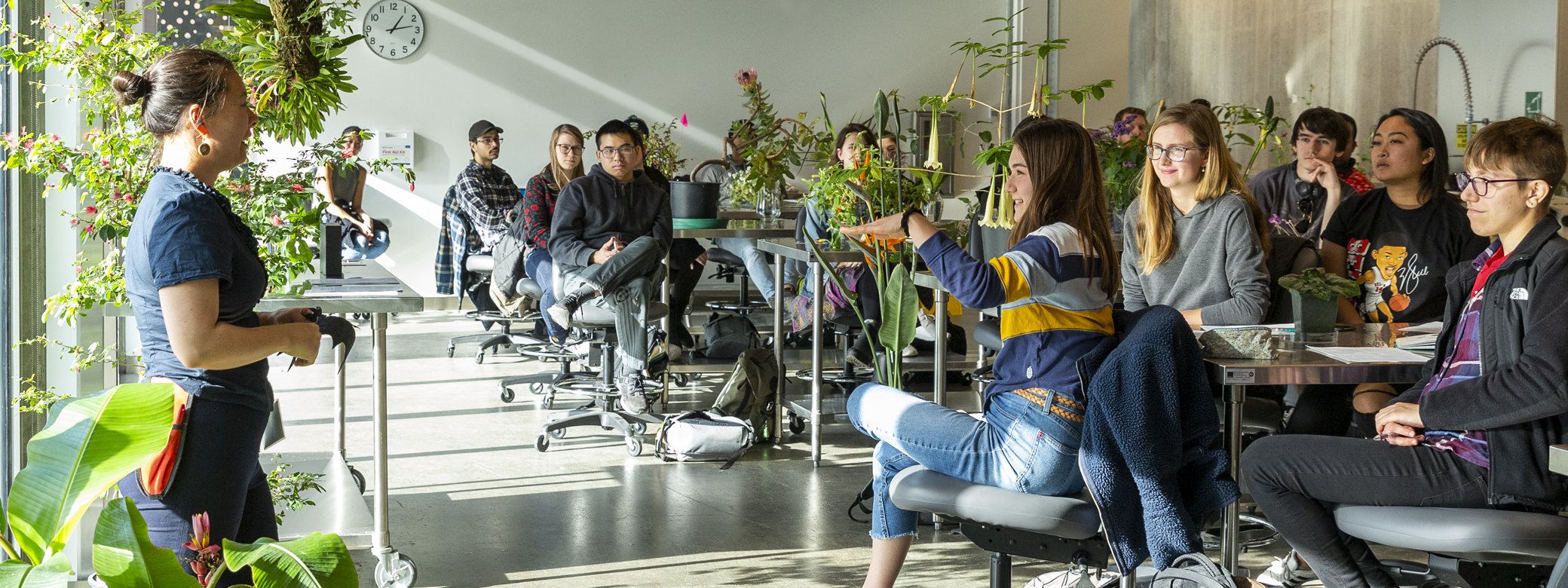 A faculty member in a class room