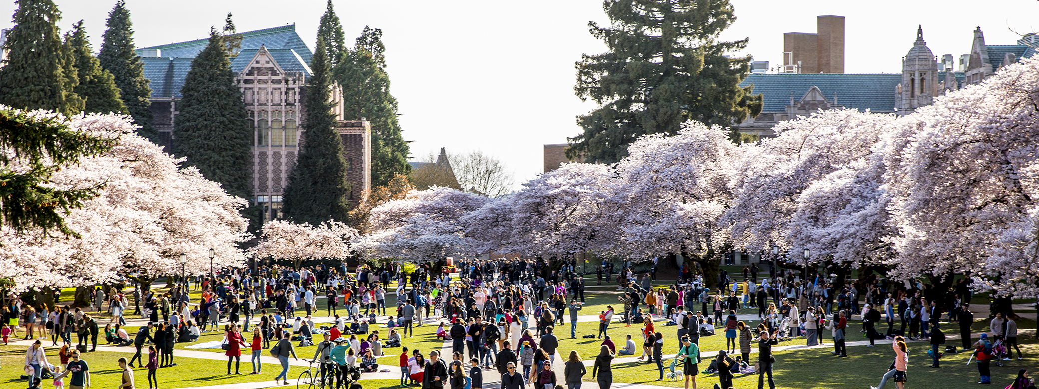 The Quad on UW Campus