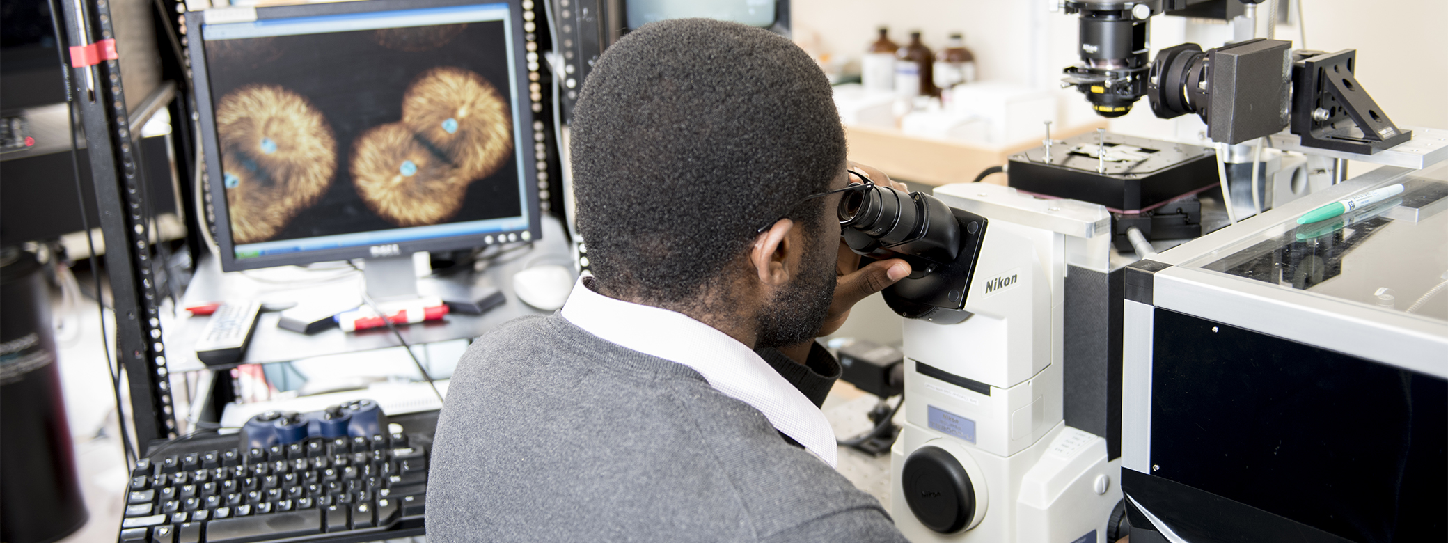 Researcher with scientific equipment