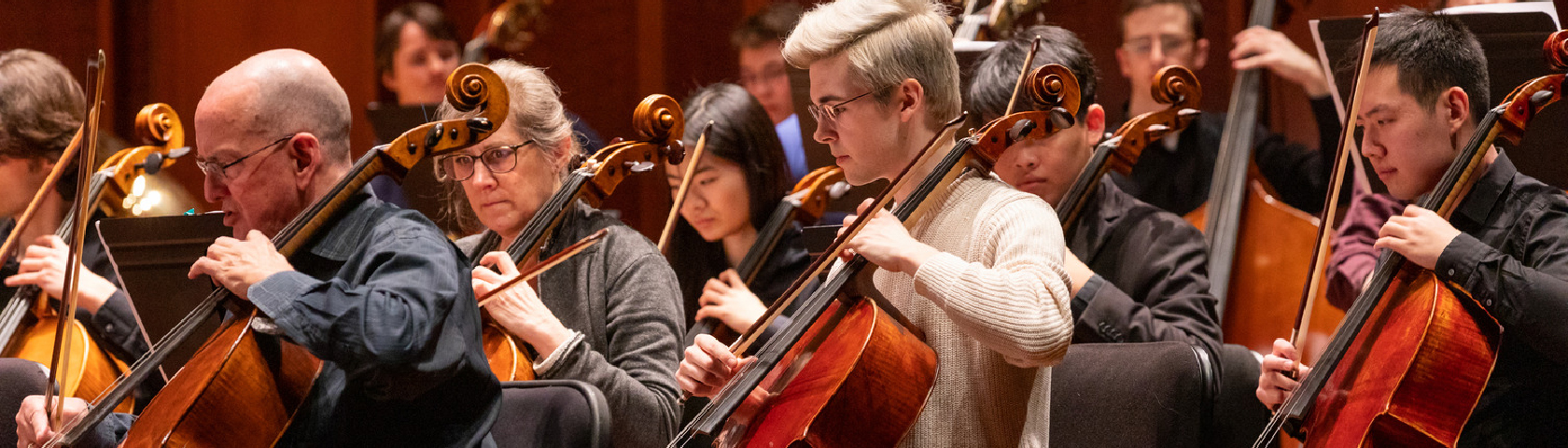 String section of orchestra