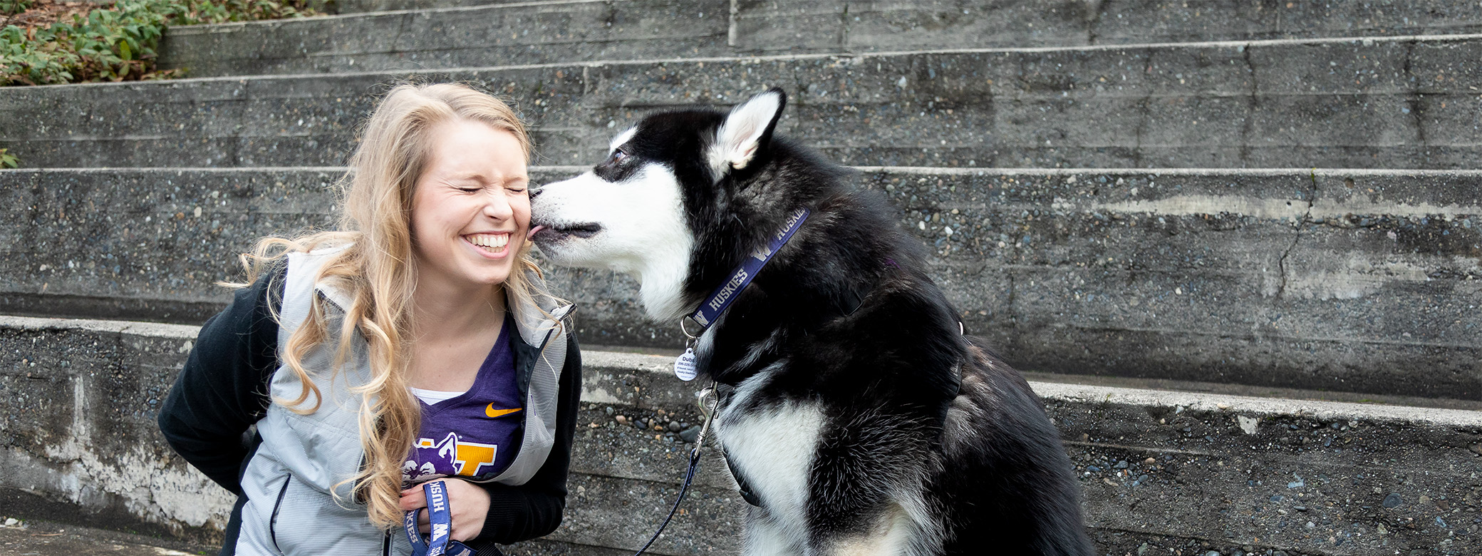 Blond woman getting licked on the cheek by a Malamute dog