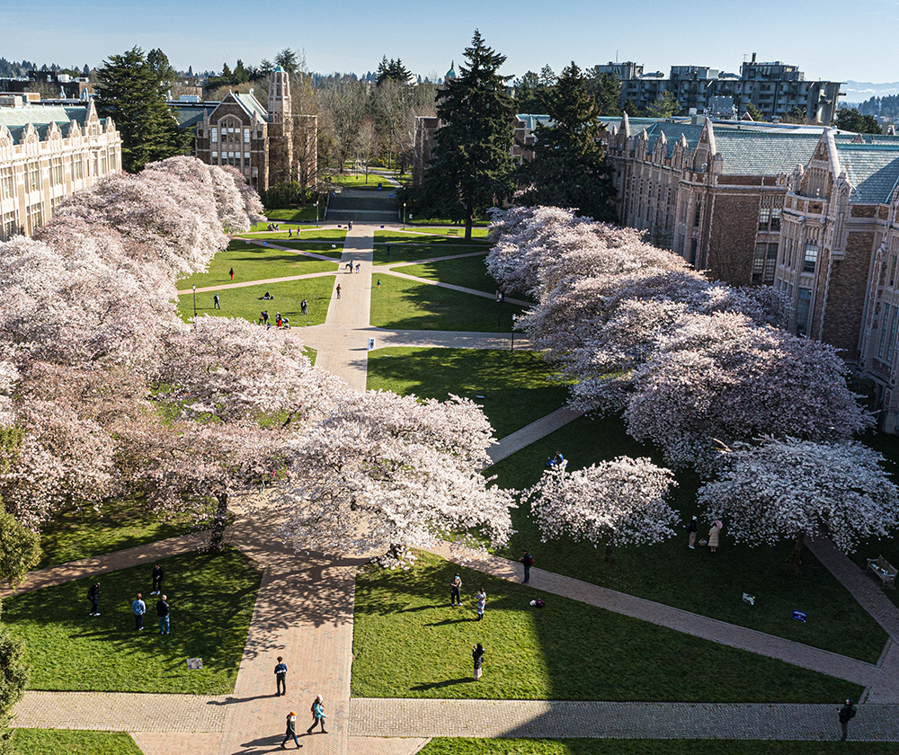 UW quad during spring