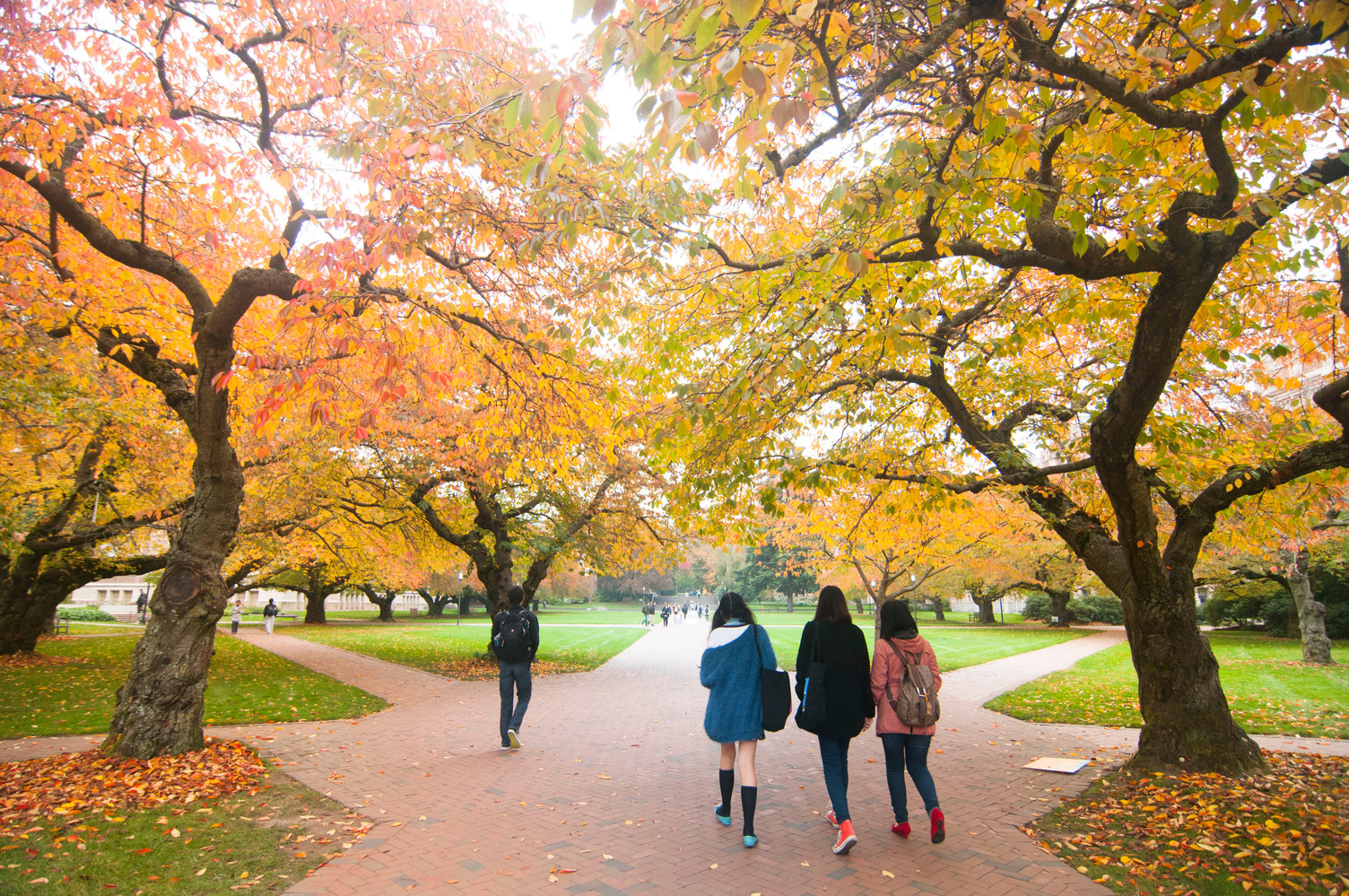 campus autumn