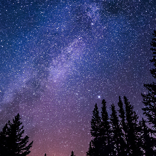 Starry sky with trees below.