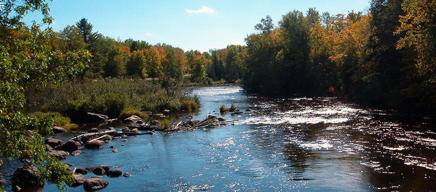 A lazy river bordered by trees and shrubs. 