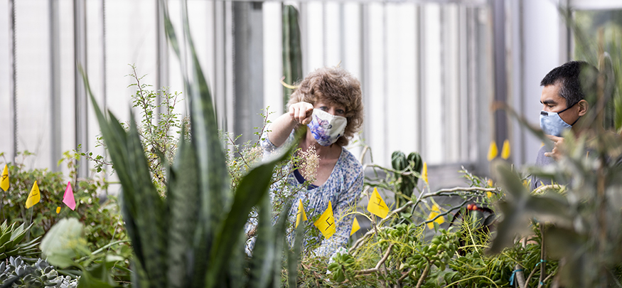 UW Biology Greenhouse manager Katie Sadler during the moving of the plants into the greenhouse