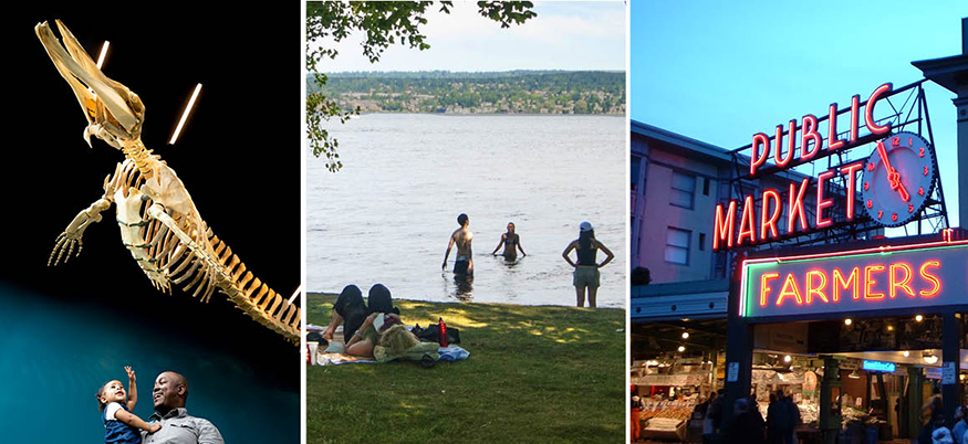 Photos of prehistoric skeleton at the Burke Museum, people swimming at Magnuson Park, and Pike Place Market 