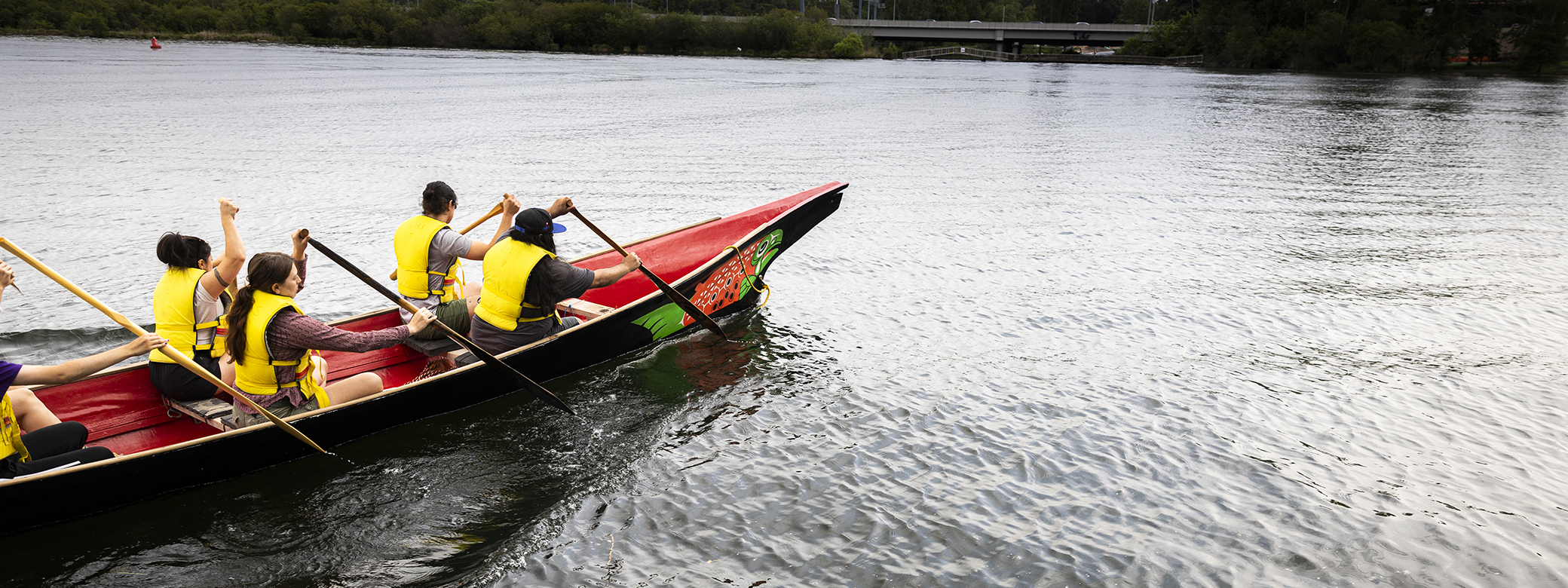 Members of UW's canoe family paddling in their traditional canoe during a practice