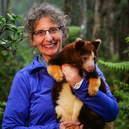 Lisa Dabek holding a young tree kangaroo in her arms.