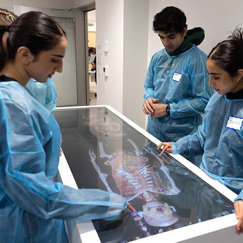 Students surround an Anatomage table, looking at a digitized image. 