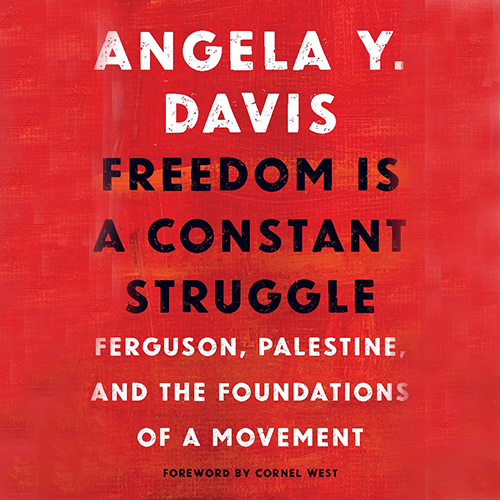 Freedom is a Constant Struggle book cover