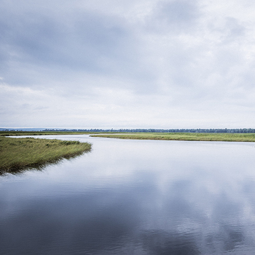 Close up photo a grey sky reflected in a glassy river 